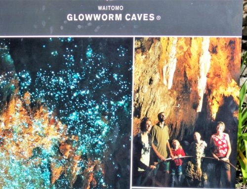 Waitomo caves och livet som lysmask