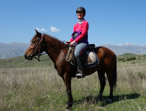 Till häst i Albanien – del 3