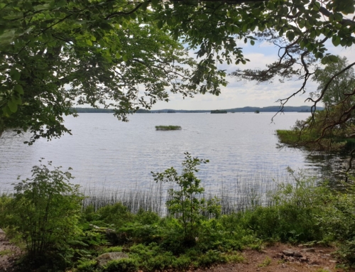 Runt Åsnen – nationalparken och andra pärlor