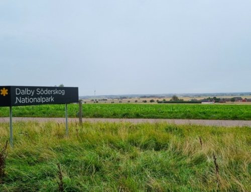 Roadtrip i Skåne – från Eslöv till Kåseberga