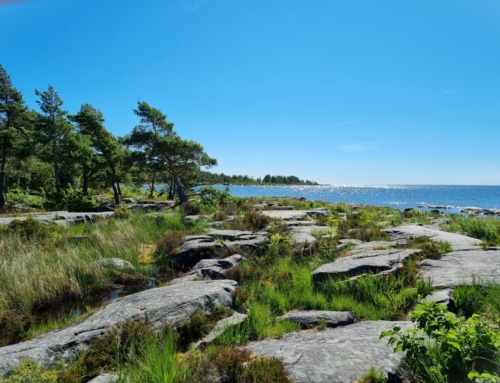 Solen på Hammarö och i Karlstad!