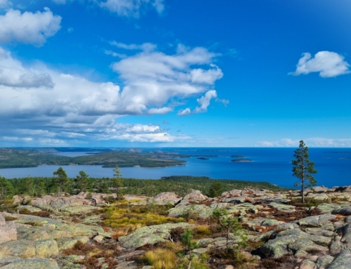Höga kusten och Skuleskogens nationalpark