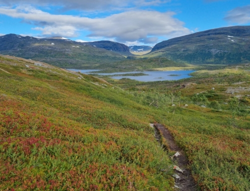 Vandring till Vadvetjåkka nationalpark