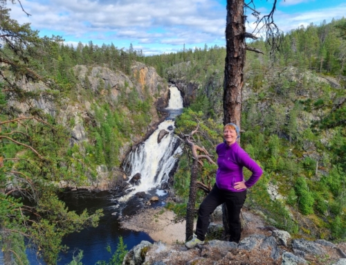 Muddus nationalpark – brusande vattenfall och orörda skogar