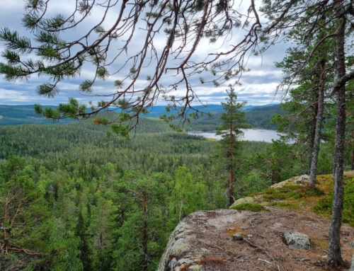 Björnlandets nationalpark med kunglig glans